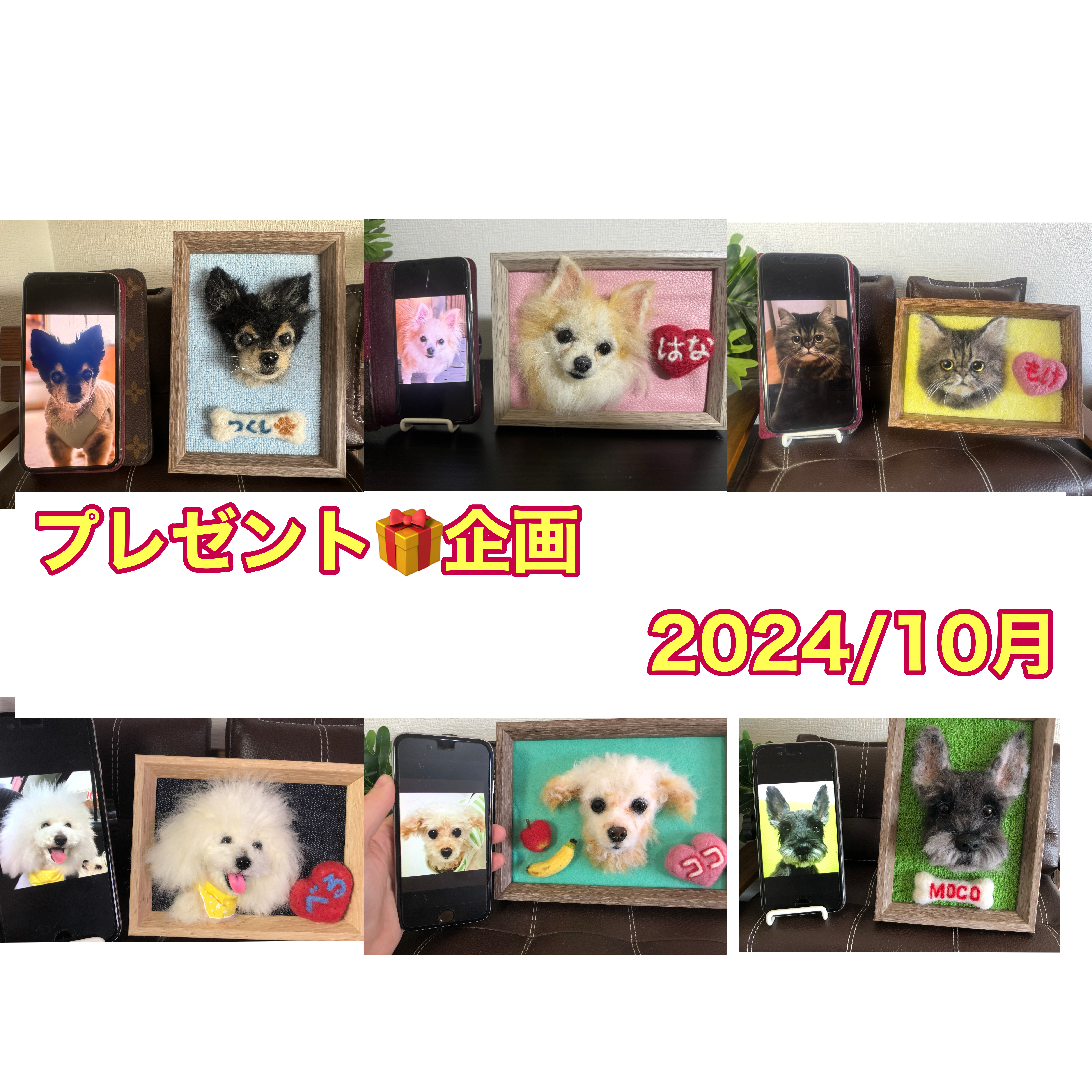 わたわたペットのプレゼント企画（2024/10月）｜わたわたペット